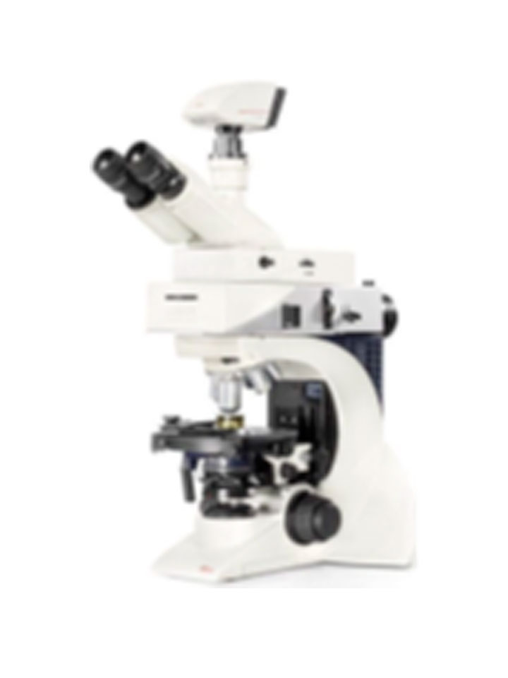 Direct microscopes